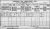 1911 Antrim Census